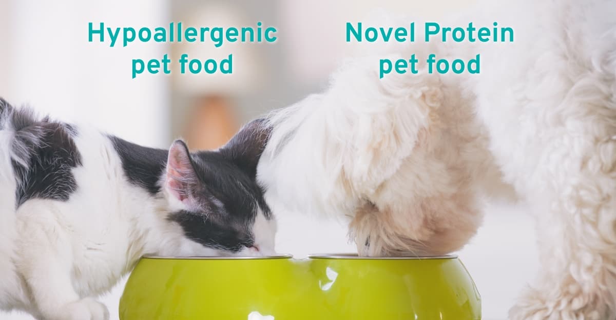 The Difference Good Food Makes: How to Choose the Best Hypoallergenic & Novel Protein Food for Dogs & Cats