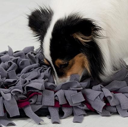 Trixie Sniffing Mat Dog Activity 50 x 34 cm image 3