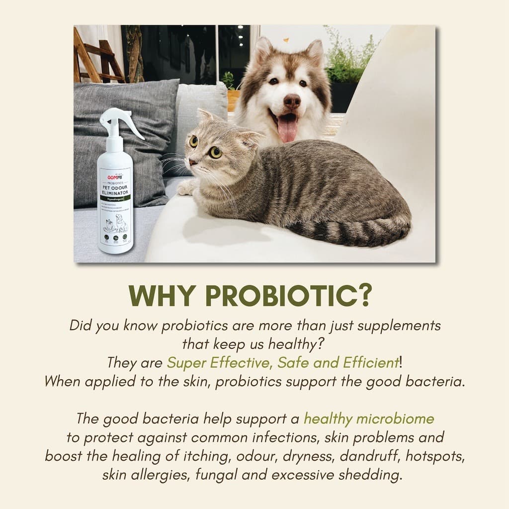 OOMMI 300ml Probiotics Pet Odour Eliminator image 4