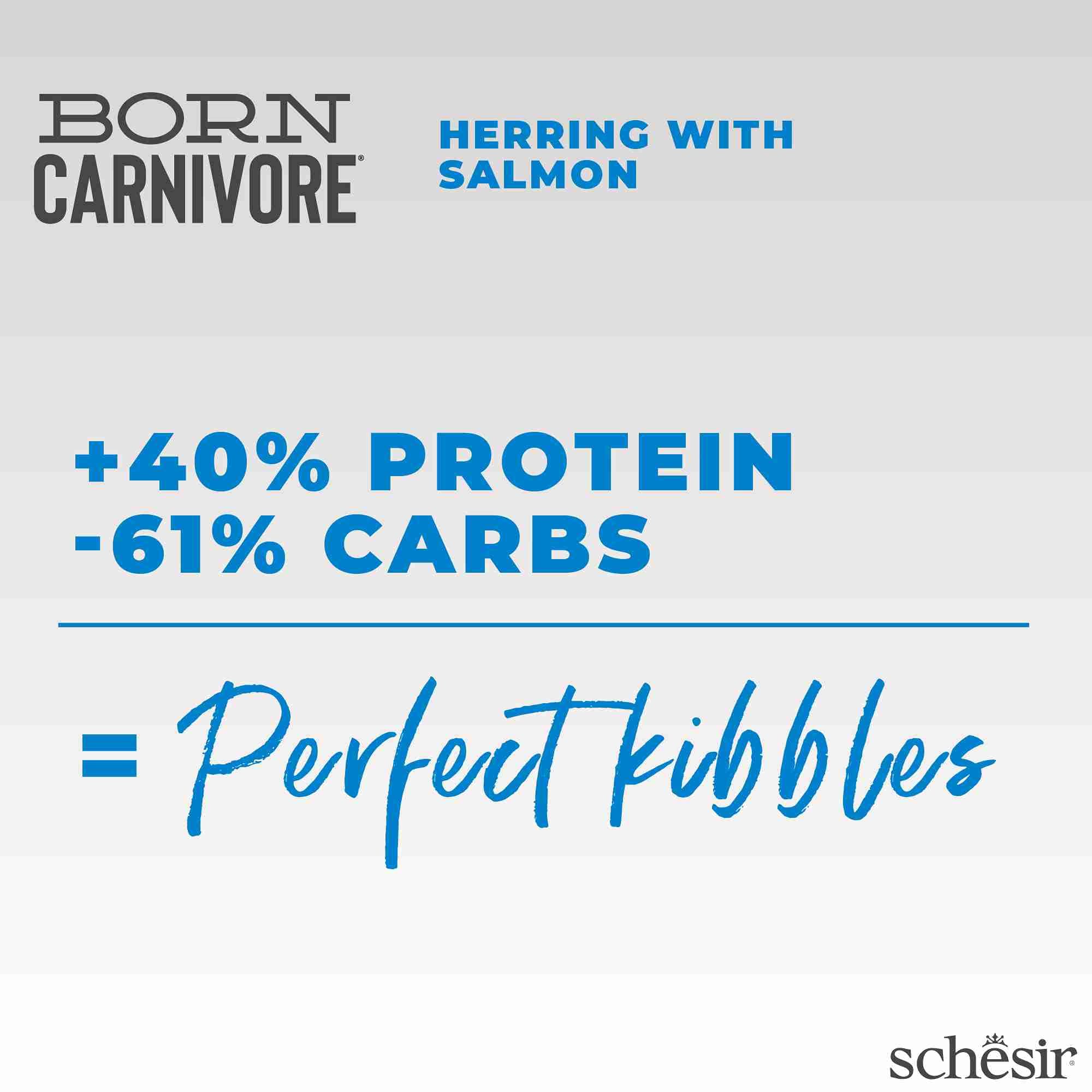Schesir Cat 255g Born Carnivore Herring with Salmon Baked Dry Recipe Dry Cat Food image 8