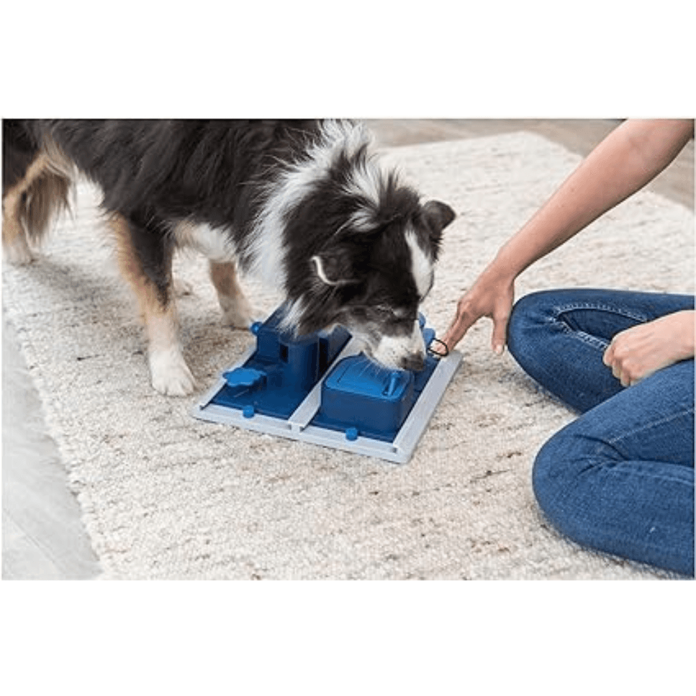Trixie Poker Box 2 Strategy Game for Dogs 31 x 10 x 31 cm image 3