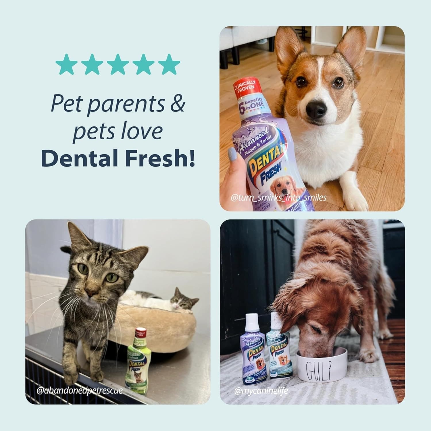 Dental Fresh Water Additive Original Formula For Dogs 502ml image 6