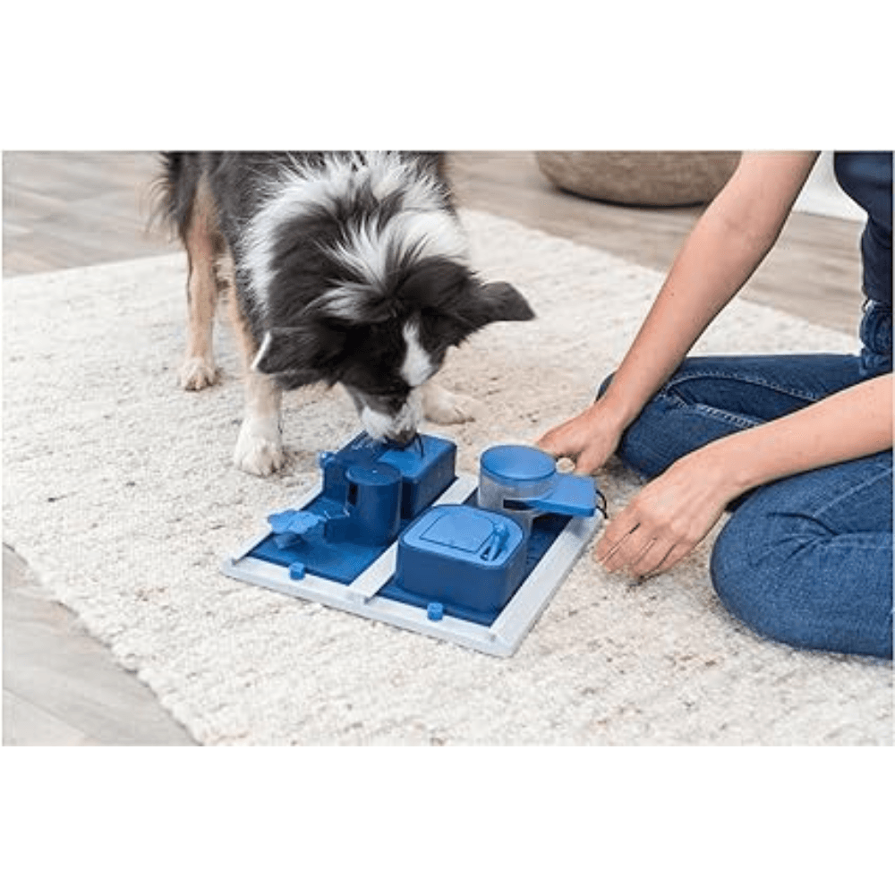 Trixie Poker Box 2 Strategy Game for Dogs 31 x 10 x 31 cm image 2