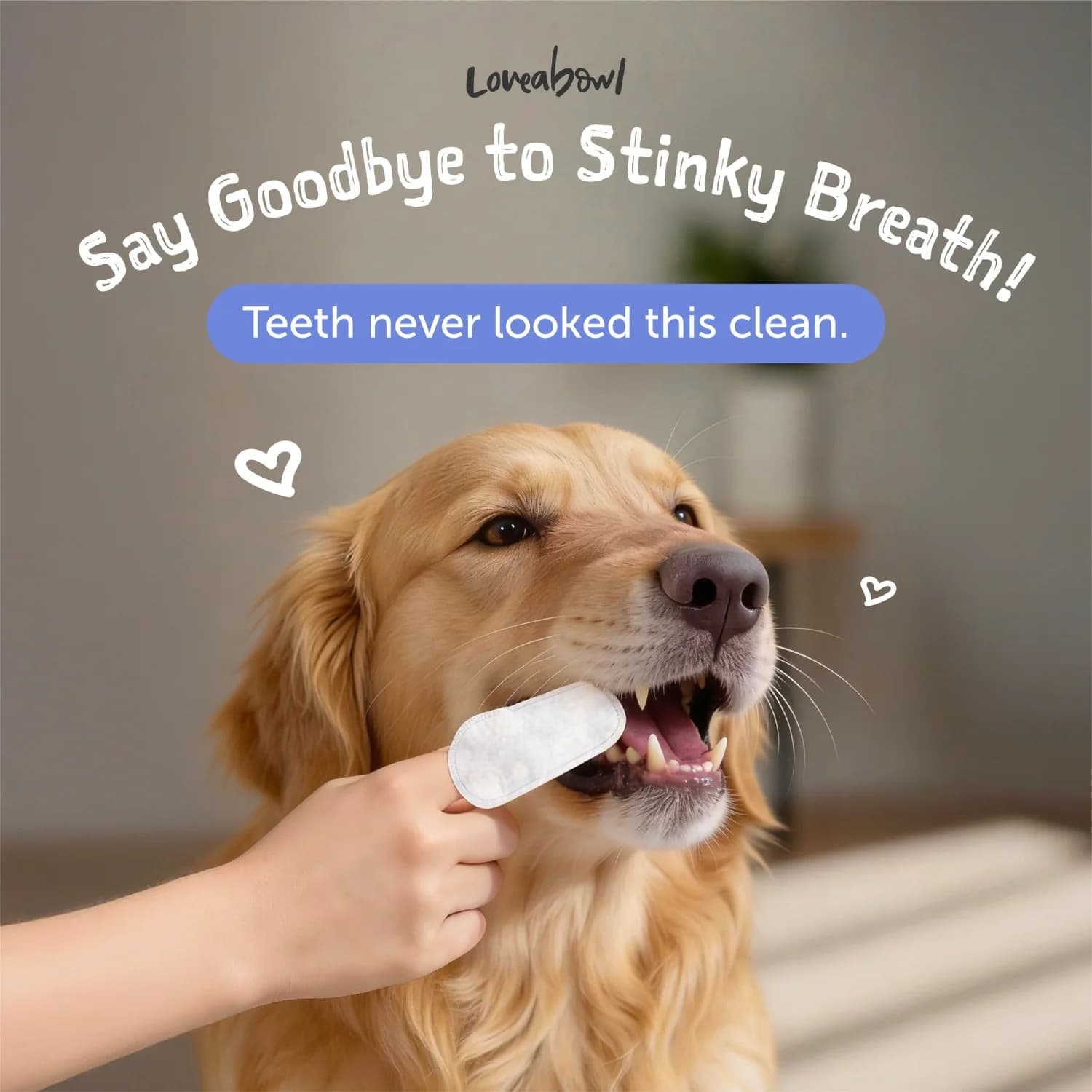 Loveabowl Dog Clean-A-Tooth 50pcs Dental Cleaning Wipes image 2