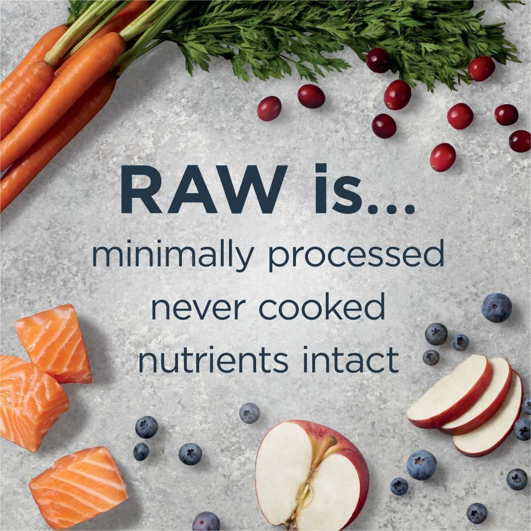 Instinct Raw Boost Dog 19lb Whole Grain Salmon & Brown Rice Dry Dog Food image 7
