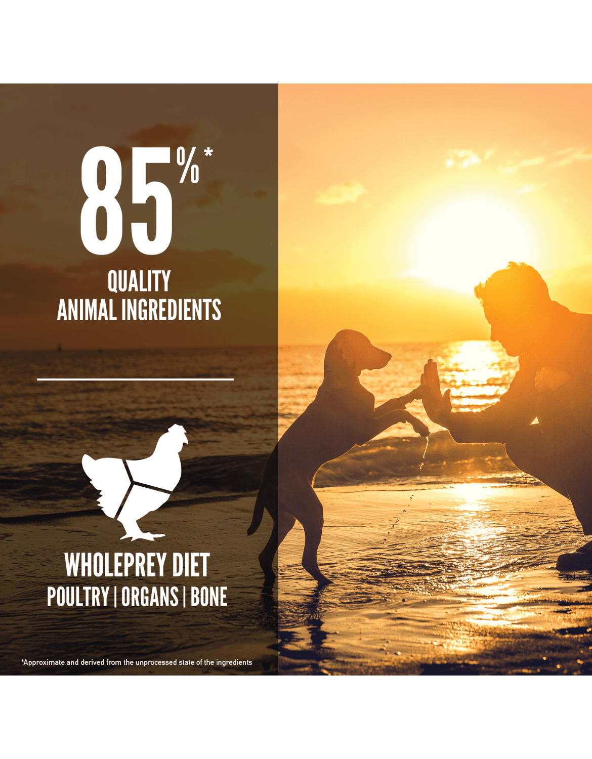 Orijen Dog 11.4kg Puppy Dry Dog Food image 3