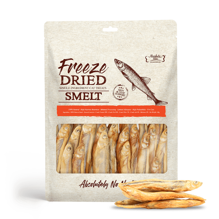 Absolute Bites Single Ingredient Freeze Dried Cat Treat Smelt 40g image 1