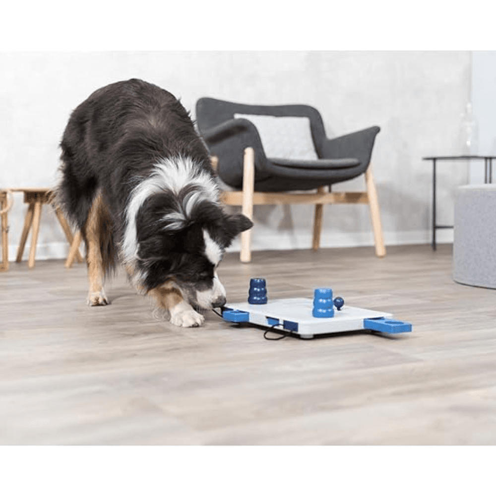 Trixie Move2Win Strategy Game for Dogs image 2