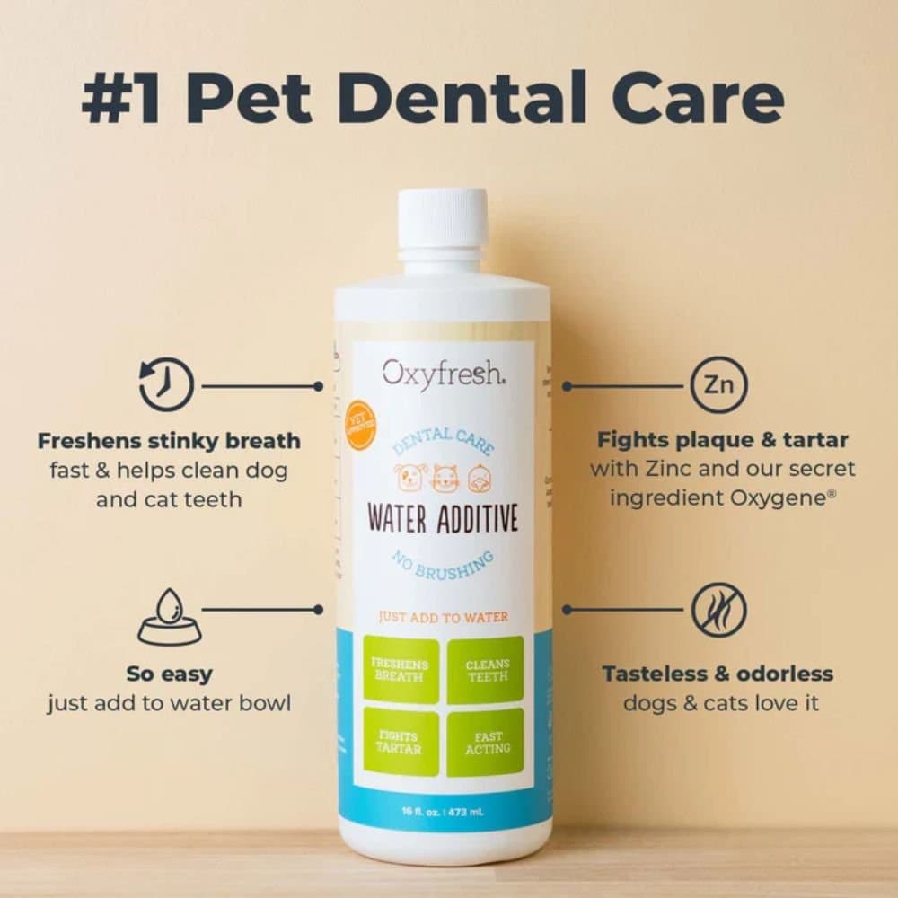 Oxyfresh 3.4oz (100ml) Dental Care Water Additive for Dogs & Cats image 2