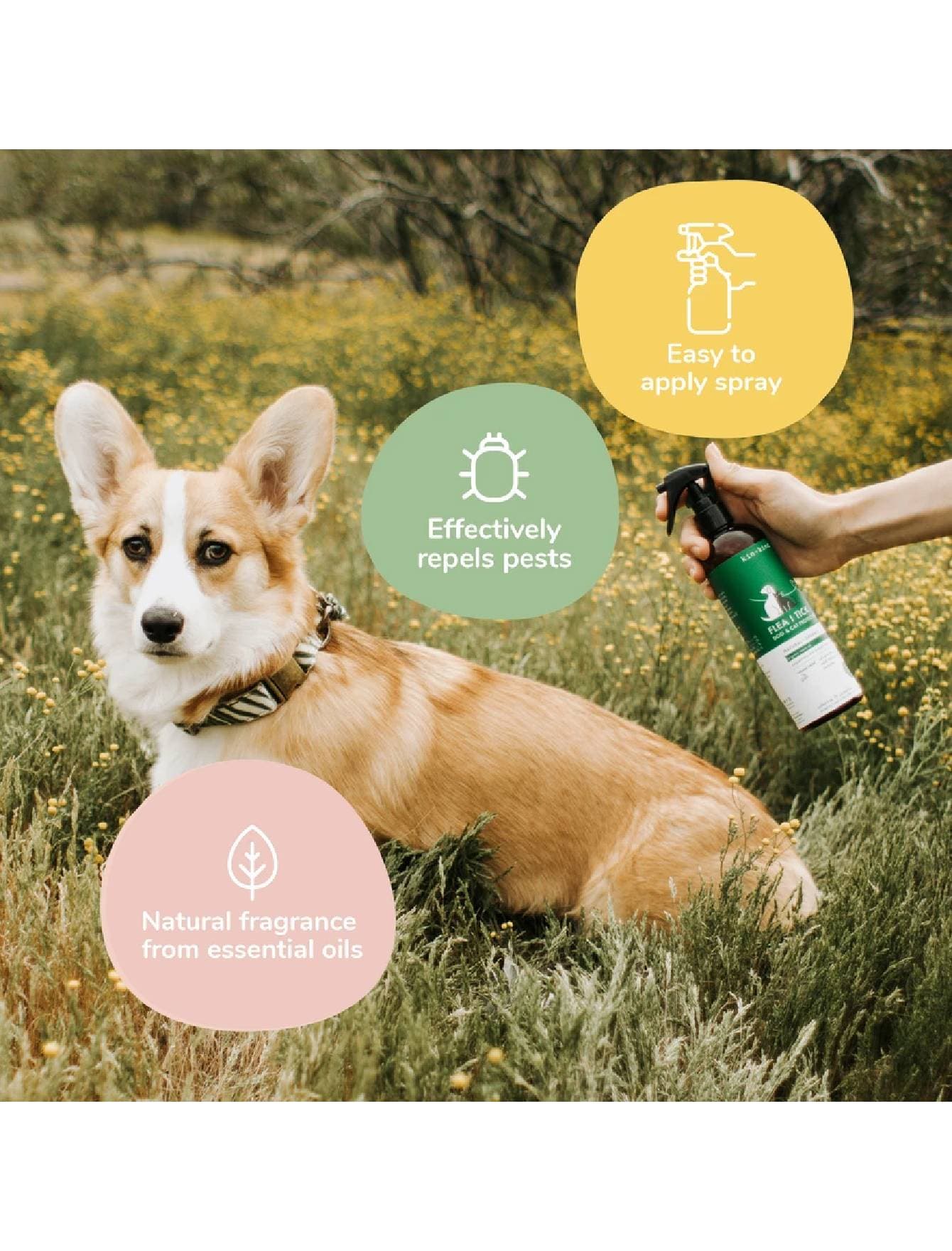 Kin+Kind 354ml Flea & Tick Lavender Spray for Dogs image 4