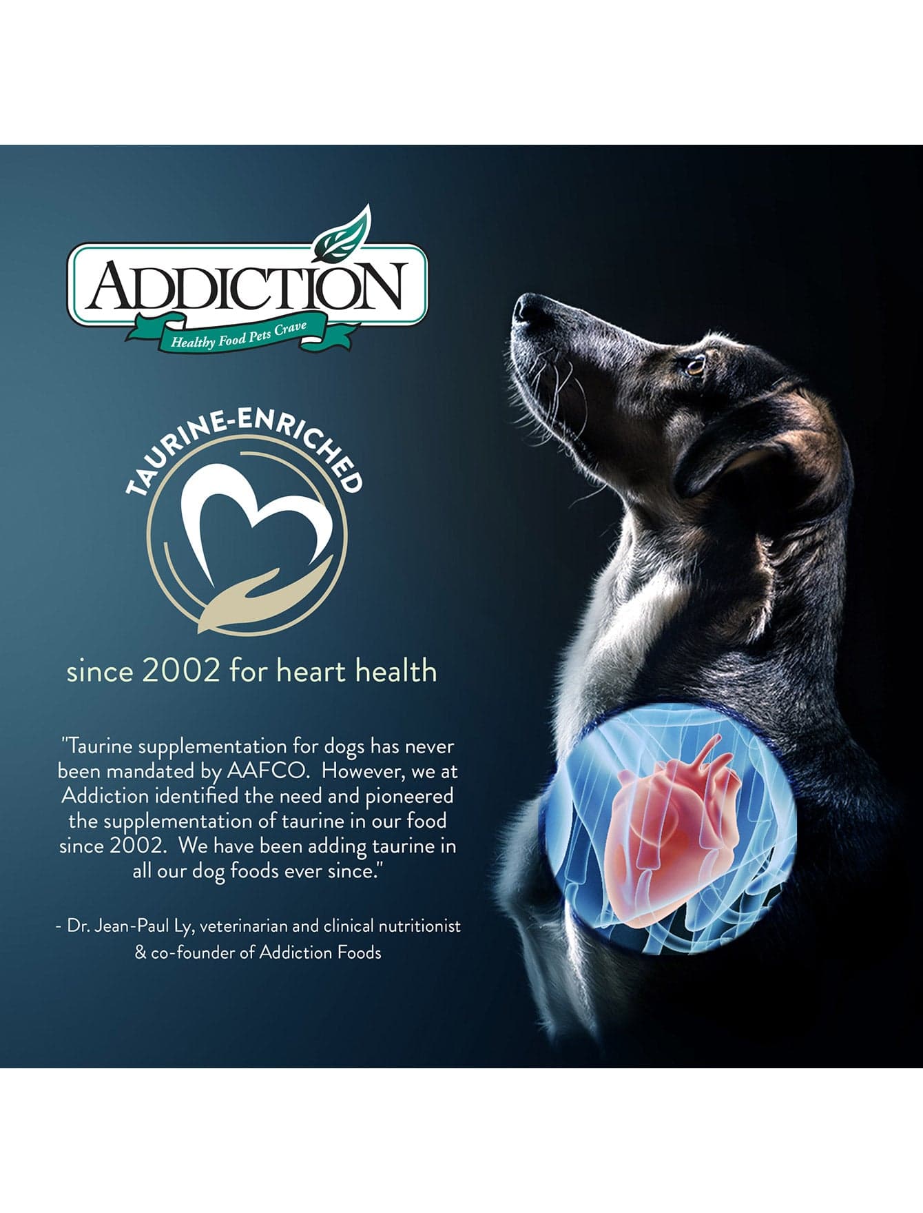 Addiction Dog 60g Grain Free Le Lamb Dry Dog Food (Sample) image 5