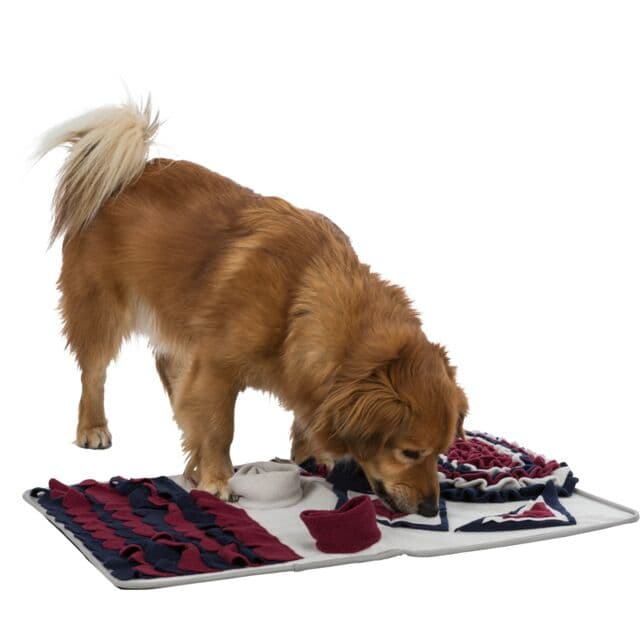Trixie Sniffing Carpet Strategy Game for Dogs 70 x 47 cm image 11