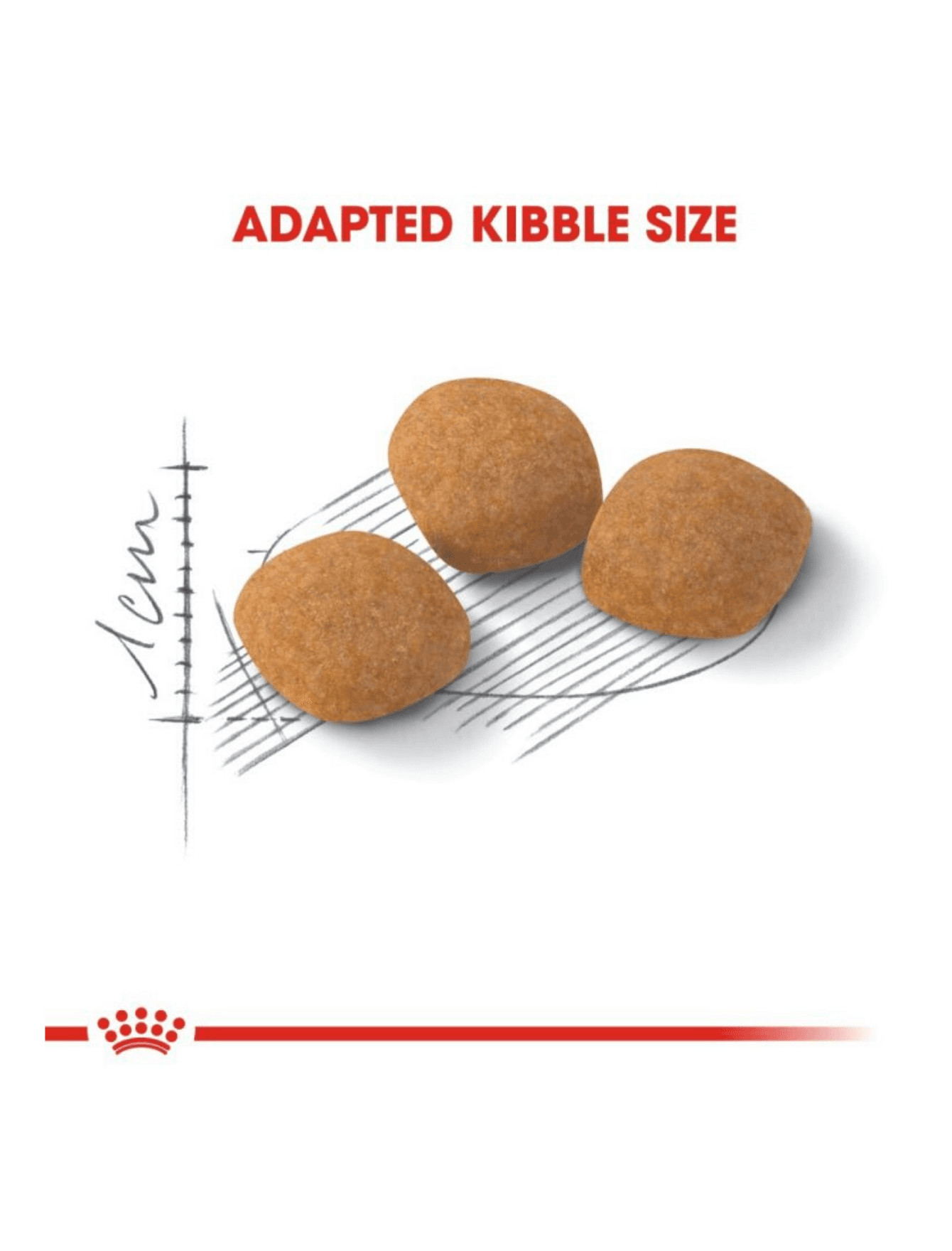 Royal Canin Cat 2kg Protein Exigent Dry Cat Food image 4