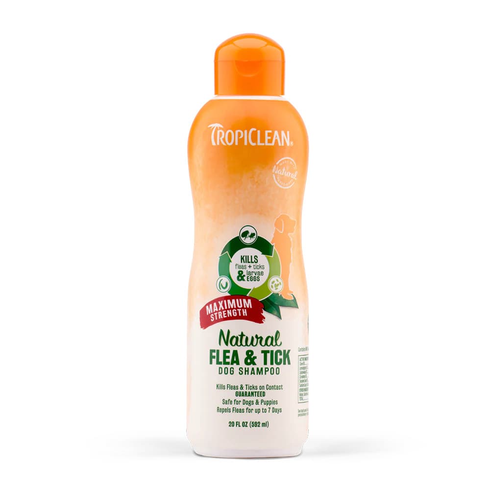 Tropiclean Dog 20oz (592 ml) Natural Flea & Tick Maximum Strength Shampoo For Dogs image 1