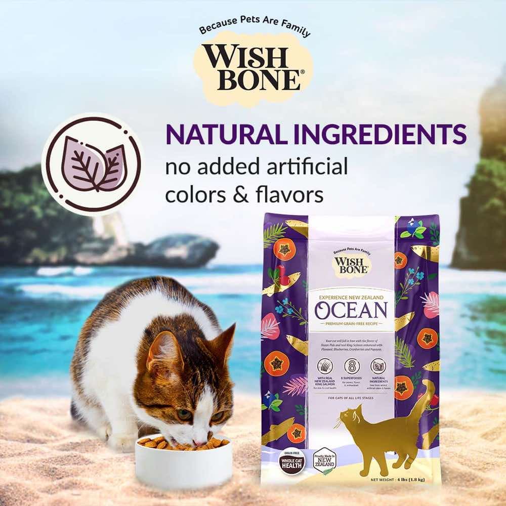 Wishbone Cat 4lb Ocean King Salmon Whole Pet Health w/8 Superfoods Dry Cat Food image 5