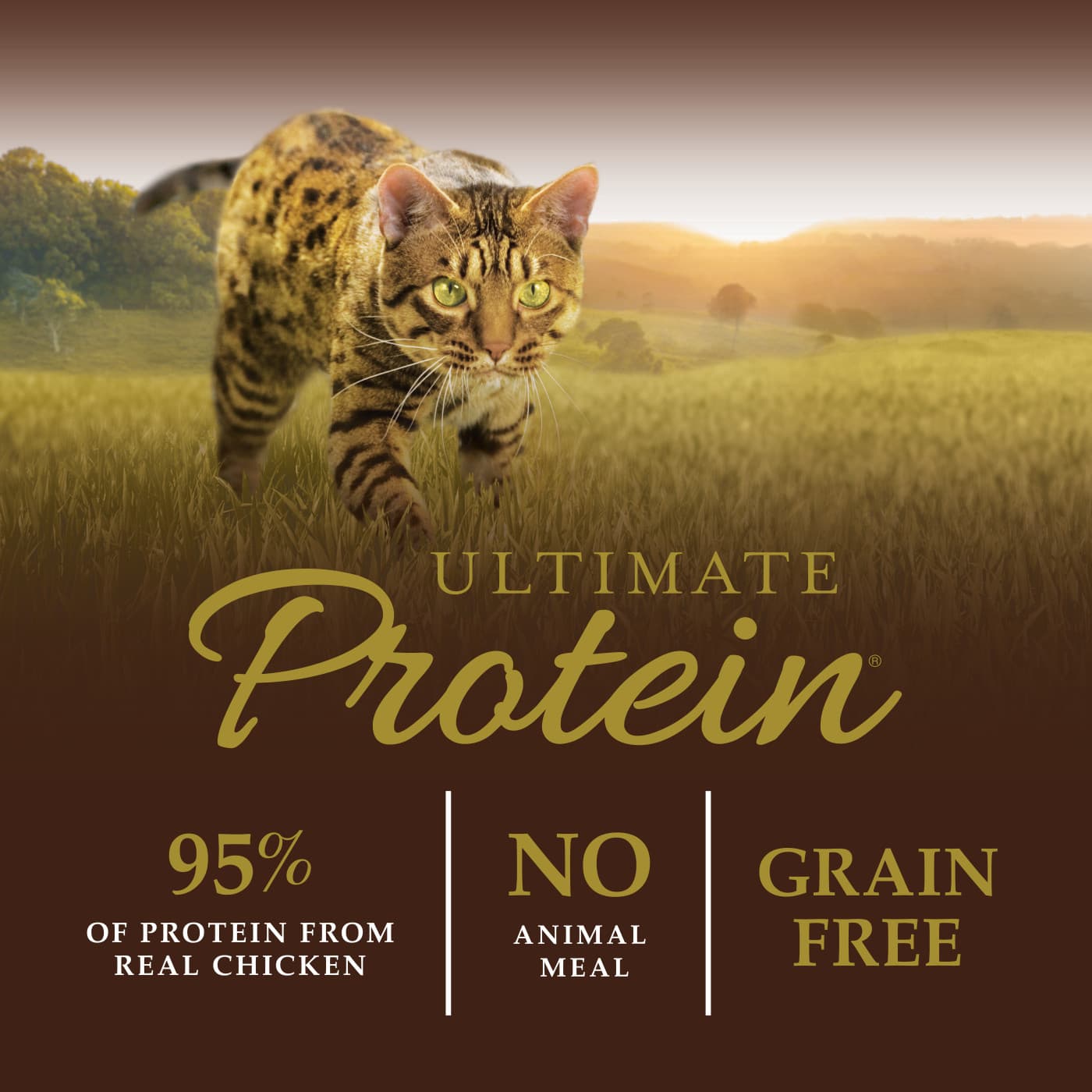 Instinct Ultimate Protein Cat 10lb Kibble Recipe with Real Chicken Dry Cat Food image 6