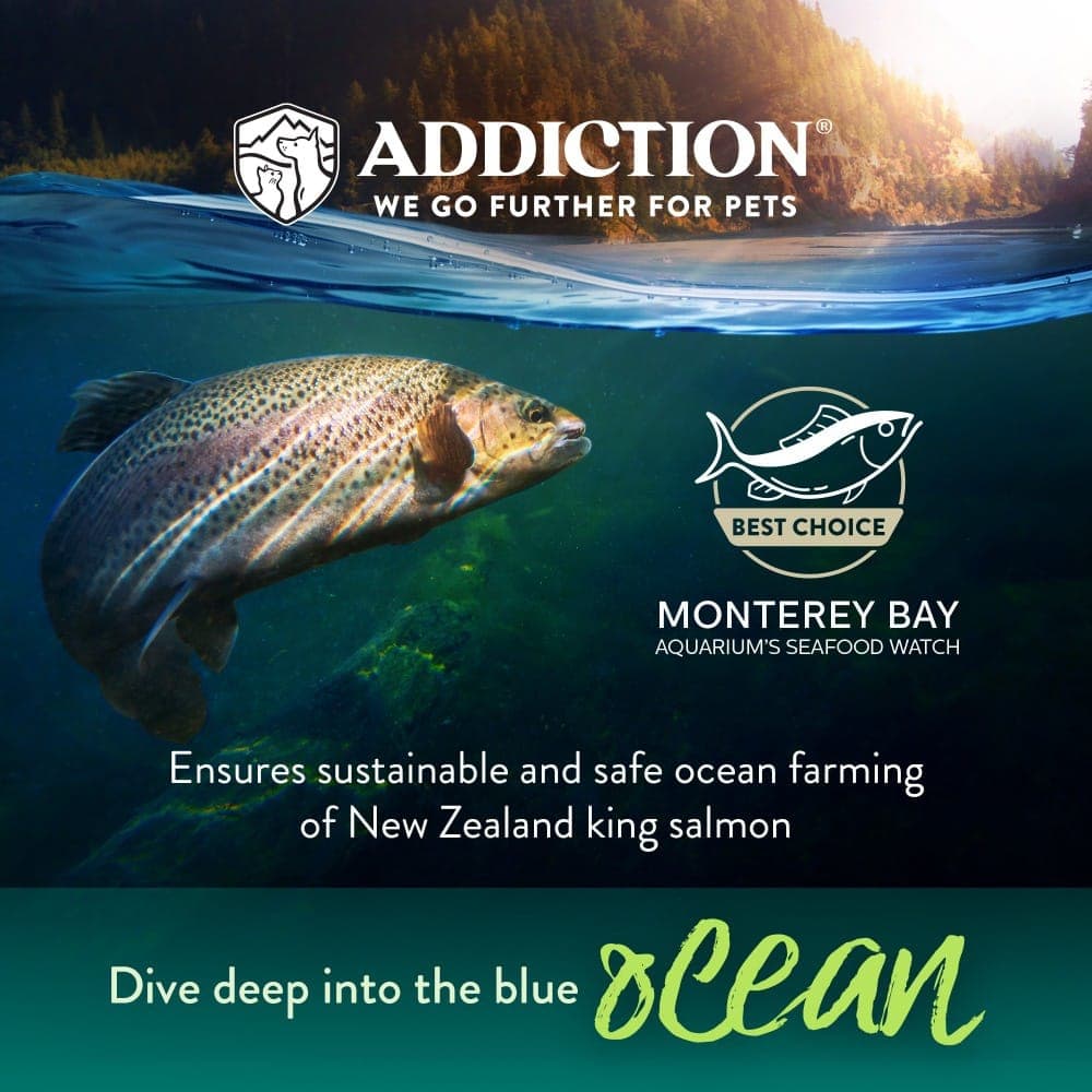 Addiction Dog 60g Grain Free Salmon Bleu Dry Dog Food (Sample) image 5