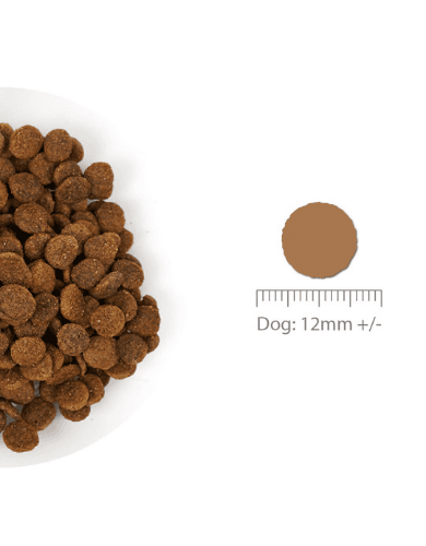Nurture Pro Dog Nourish Life 5.7kg Slow-cooked Salmon For Adult Dog Dry Dog Food image 3
