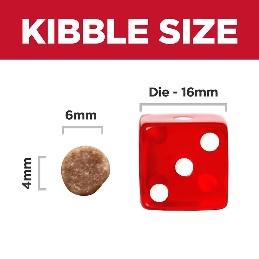 Hill's Science Diet Feline Kitten 1.58kg Dry Cat Food image 4