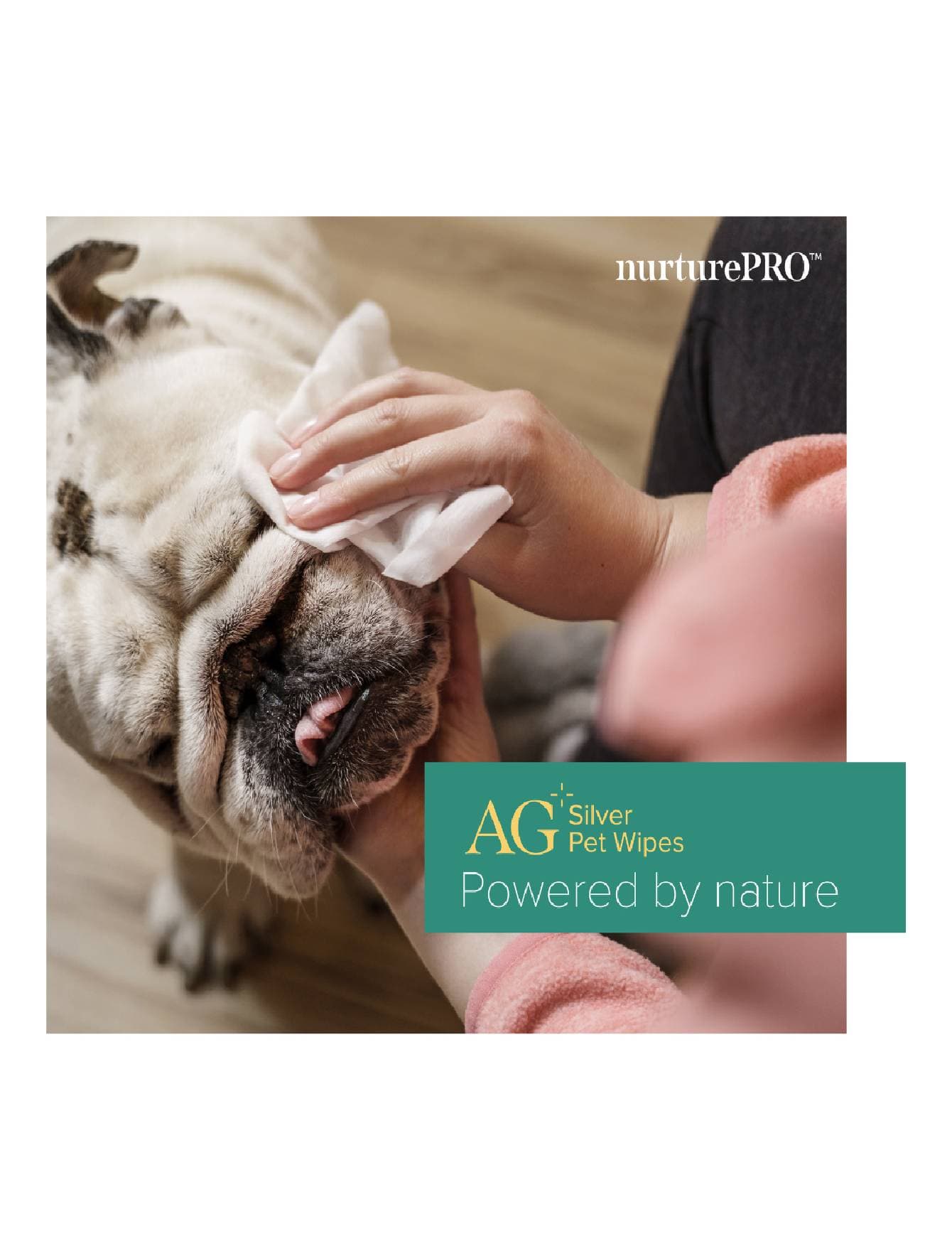 Nurture Pro AG+ Silver Pet Wipes 100 Sheets Lavender image 4