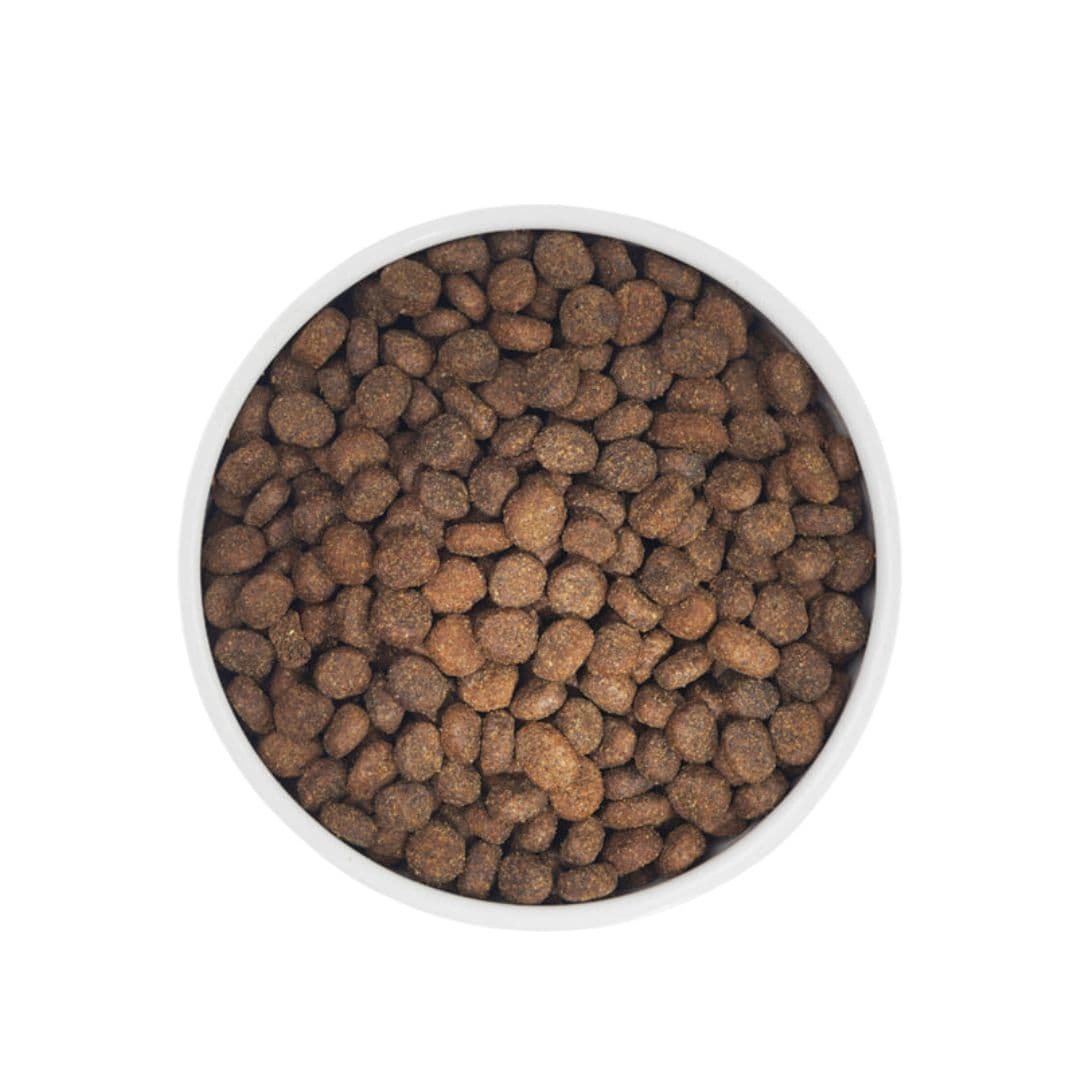 Zignature 1.8kg Zssential Formula Dry Dog Food image 4