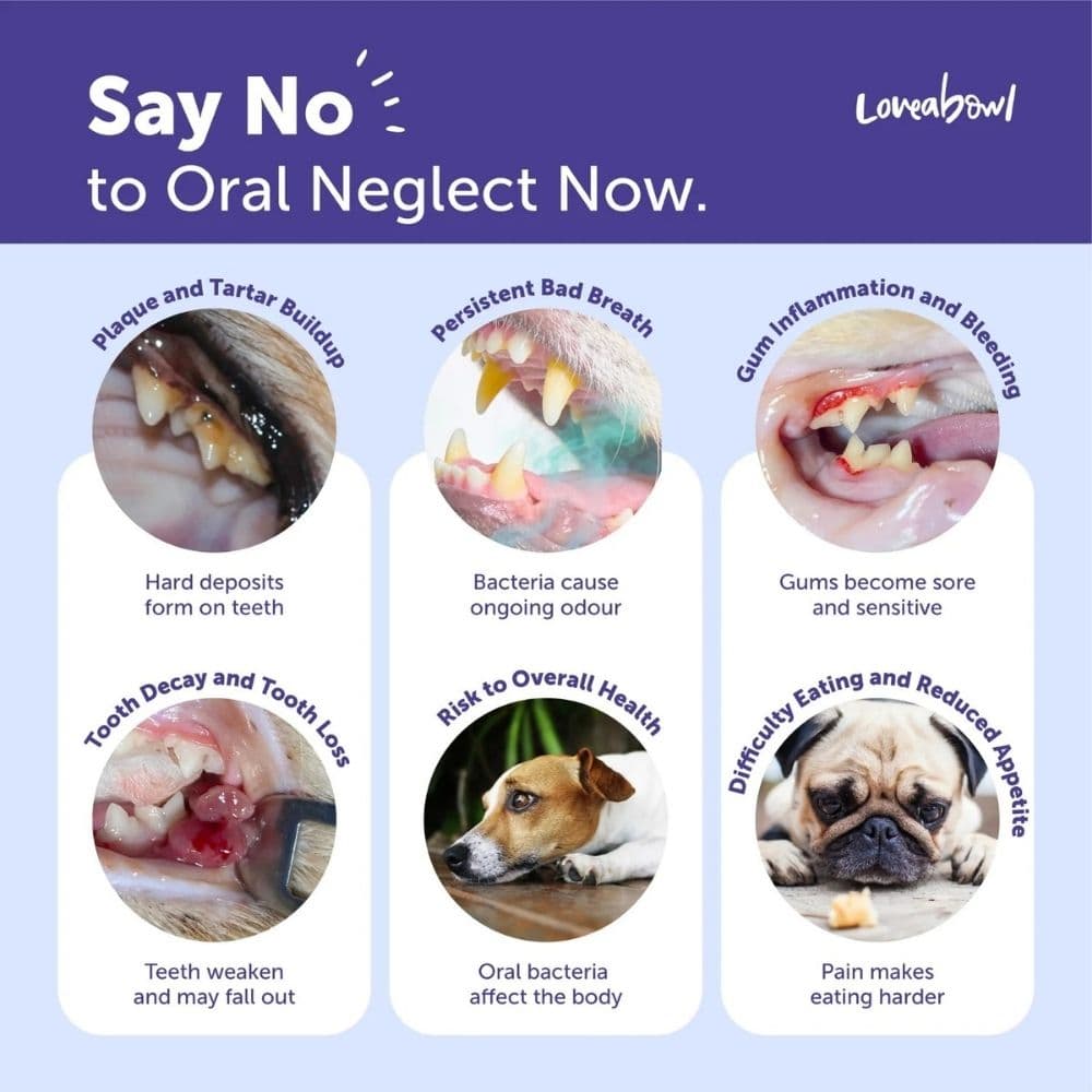 Loveabowl Dog Clean-A-Tooth 50pcs Dental Cleaning Wipes image 5