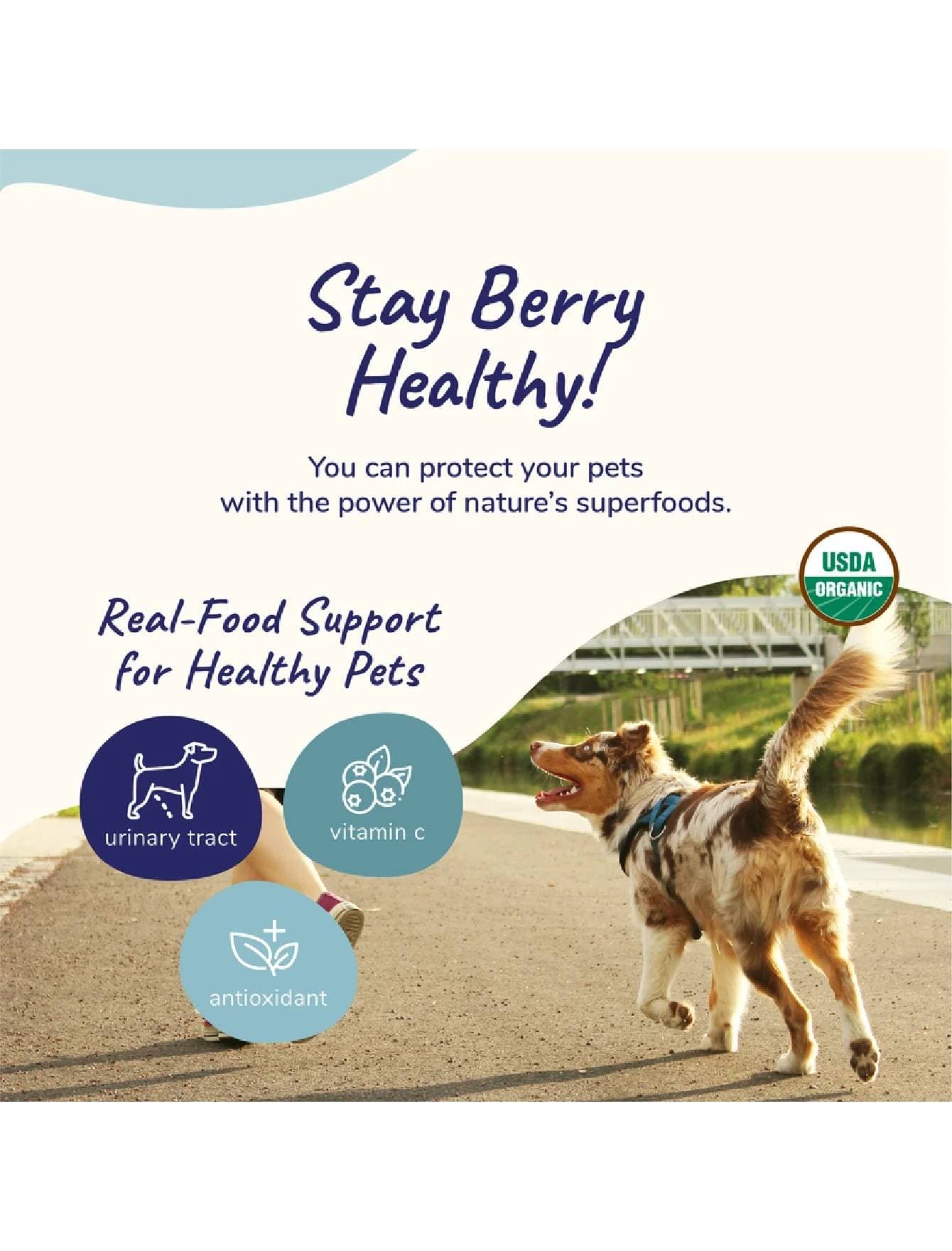 Kin+Kind 113g Organic Healthy Immunity Supplement for Dogs & Cats image 2