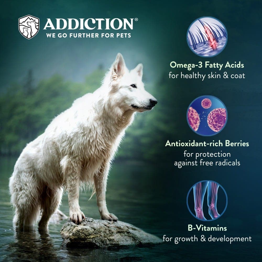 Addiction Dog 60g Grain Free Salmon Bleu Dry Dog Food (Sample) image 4