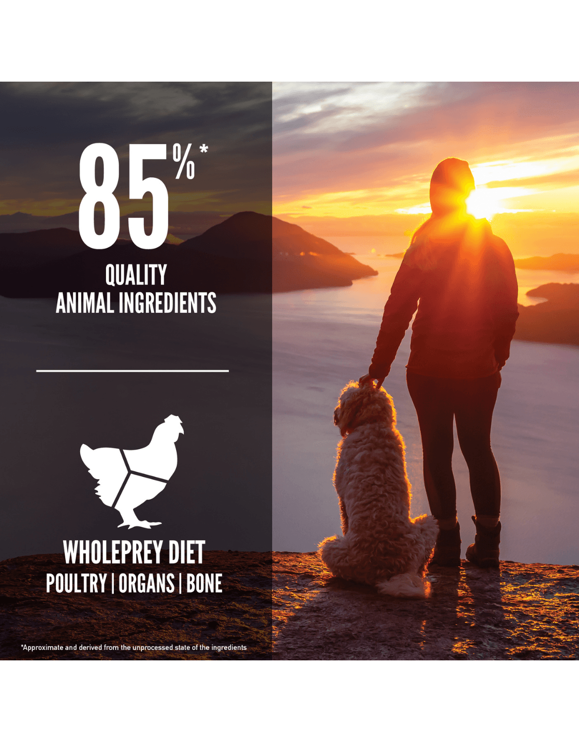Orijen Dog 6kg Senior Dry Dog Food image 3