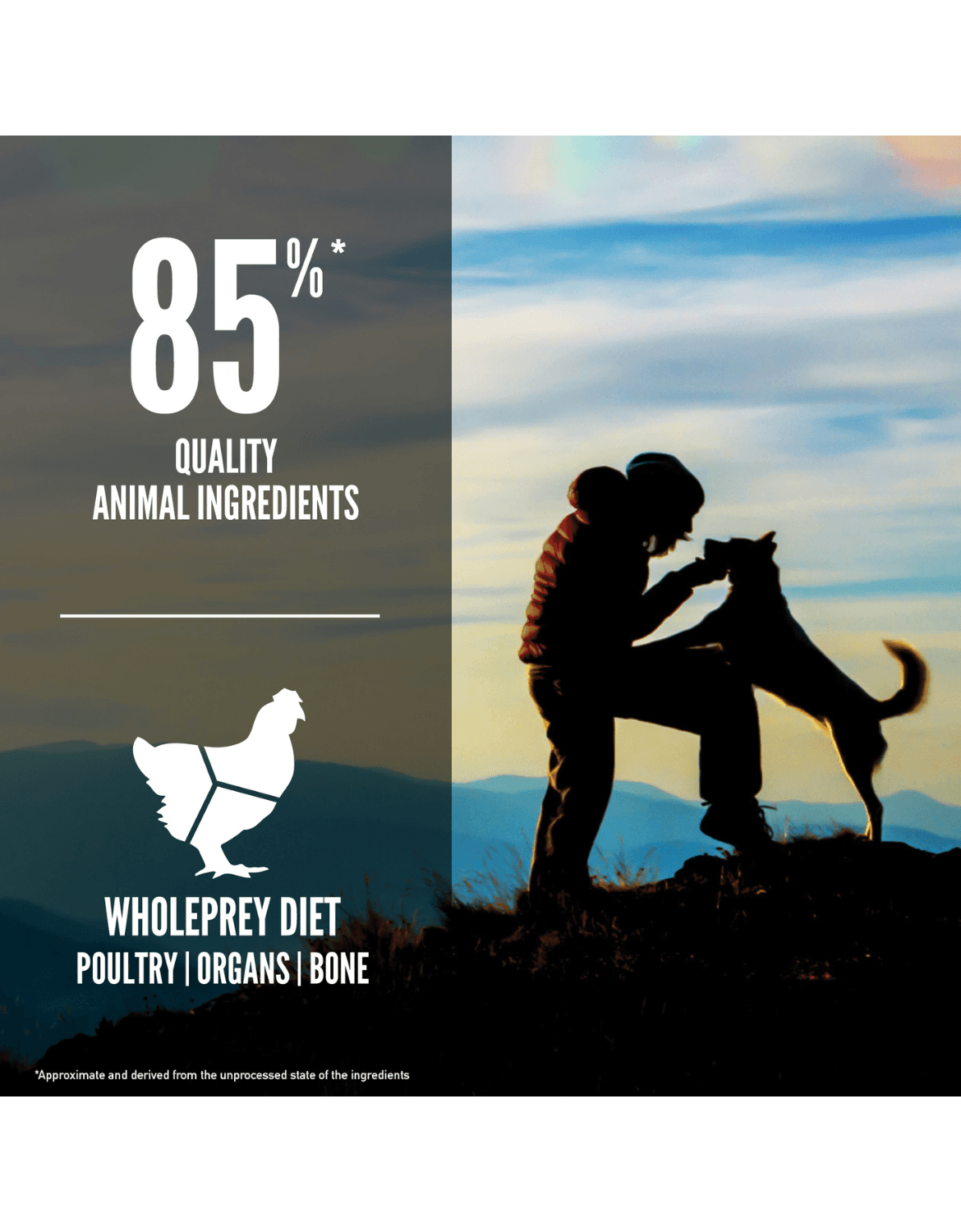 Orijen Dog 6kg Original Dry Dog Food image 3