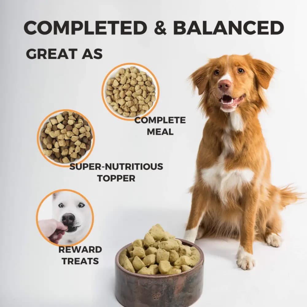 Furry Wonder Dog 226g (8oz) MOBILITY ADVANCE Freeze-dried Raw Duck & Chicken Recipe For Dogs image 5