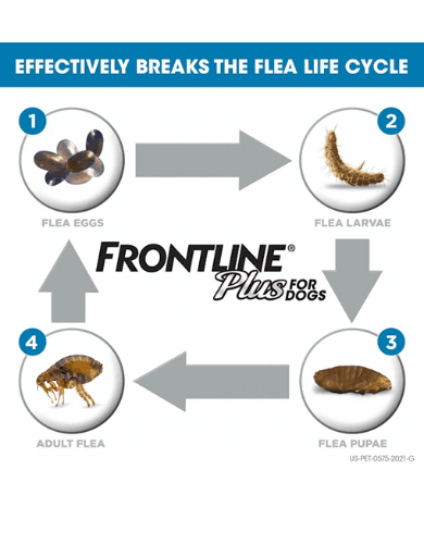 Frontline Plus Dog Spot On Medium 1.34mlx3 Pipette image 4