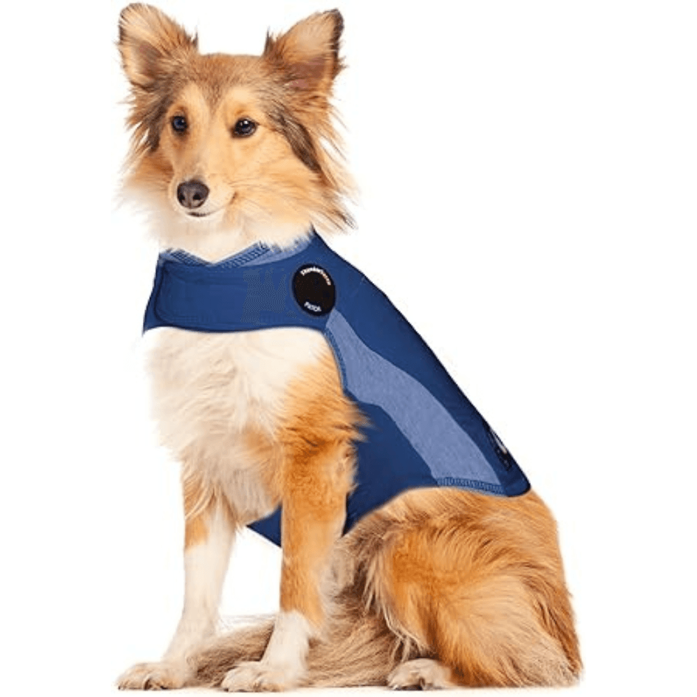 Thundershirt Dog XS Blue image 3