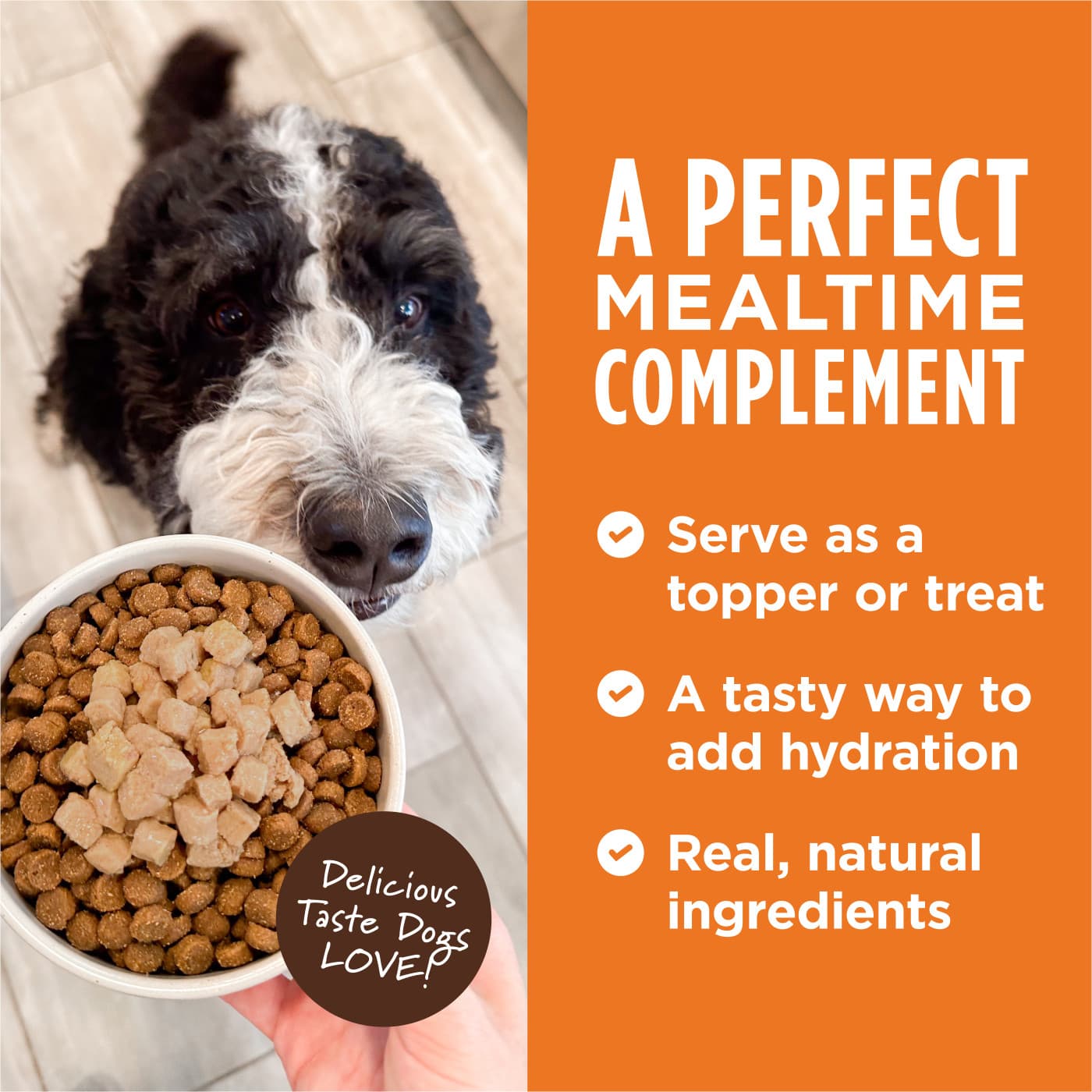 Instinct Healthy Cravings Dog 3oz Grain Free Real Beef Wet Dog Food Topper image 4