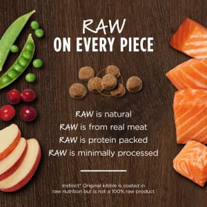 Instinct Original Cat 4.5lb Grain Free Recipe with Real Salmon Dry Cat Food image 4