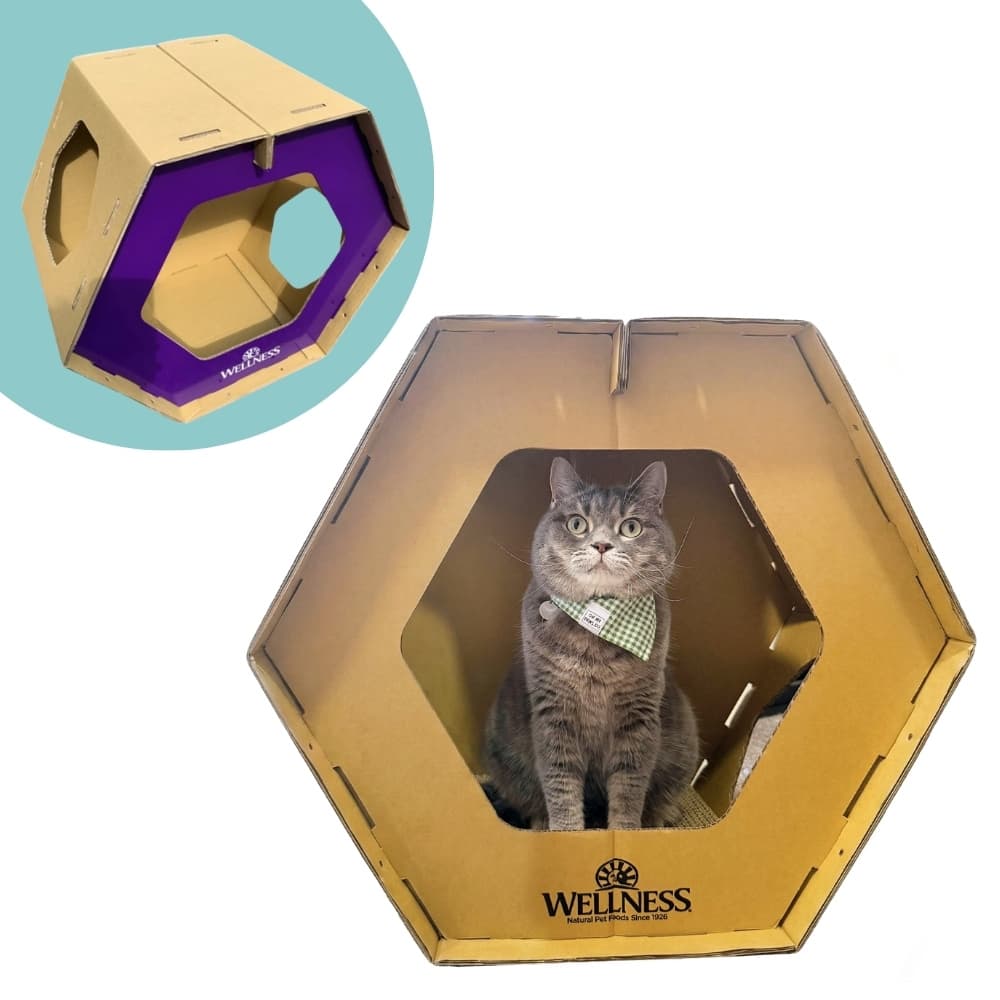 [NOT FOR SALE] Wellness Cat House 1pc image 1