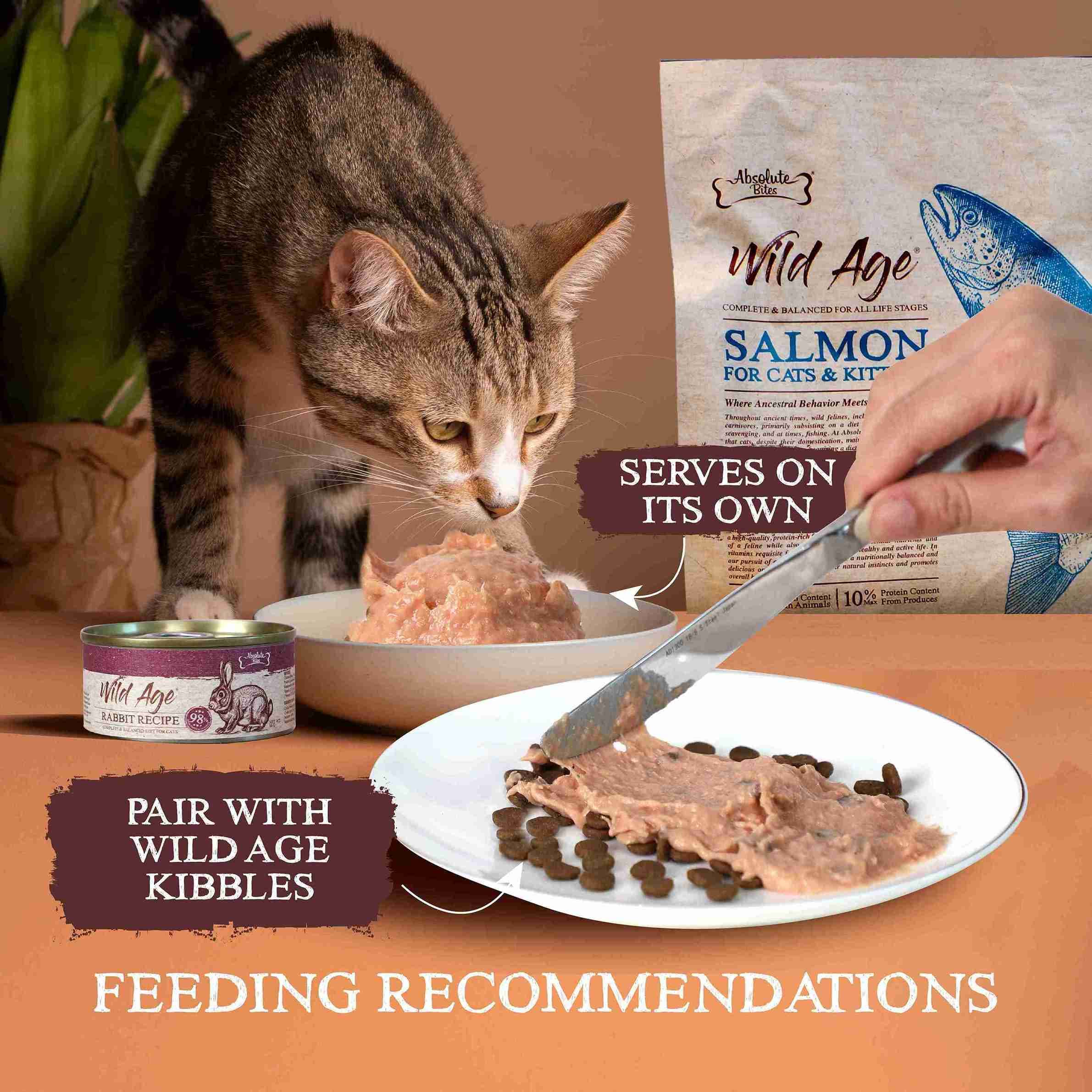 Absolute Bites Wild Age Cat 80g Complete & Balanced Diet Chicken Canned Wet Cat Food image 4