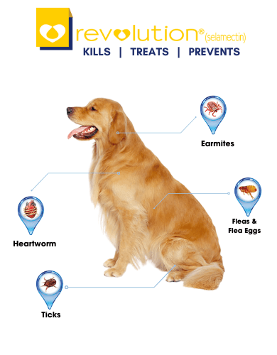 Revolution Selamactic Topical Solution for 20-40kg Dog 3 Single Dose Tubes image 4