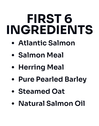 Nurture Pro Dog Nourish Life 5.7kg Slow-cooked Salmon For Adult Dog Dry Dog Food image 4