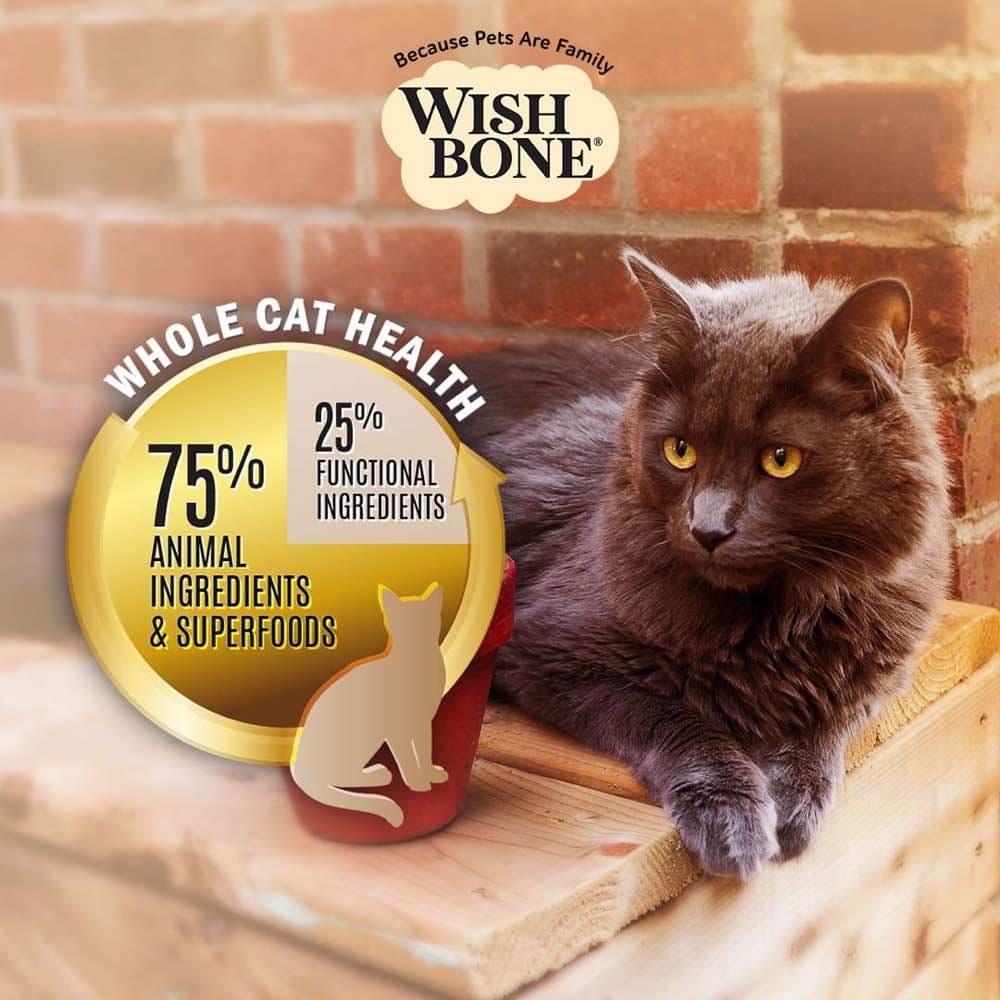 Wishbone Cat 4lb Ocean King Salmon Whole Pet Health w/8 Superfoods Dry Cat Food image 2