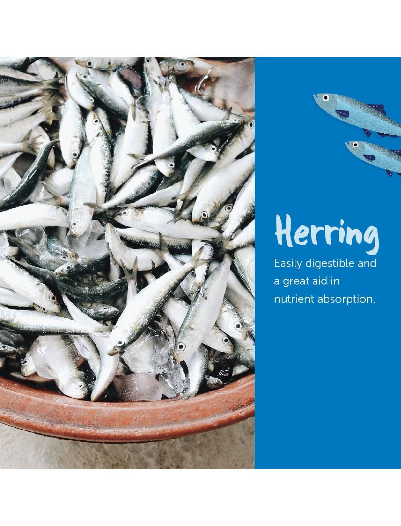 Loveabowl Dog 250g Herring and Salmon Dry Dog Food image 4