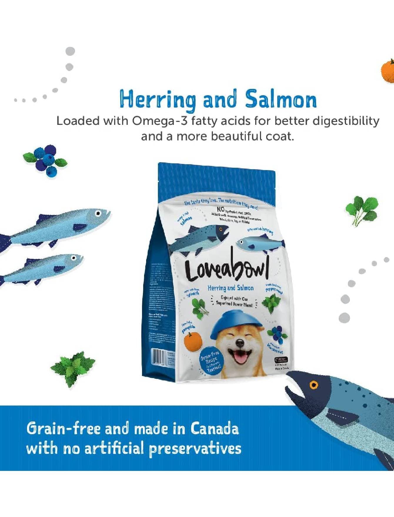Loveabowl Dog 250g Herring and Salmon Dry Dog Food image 5