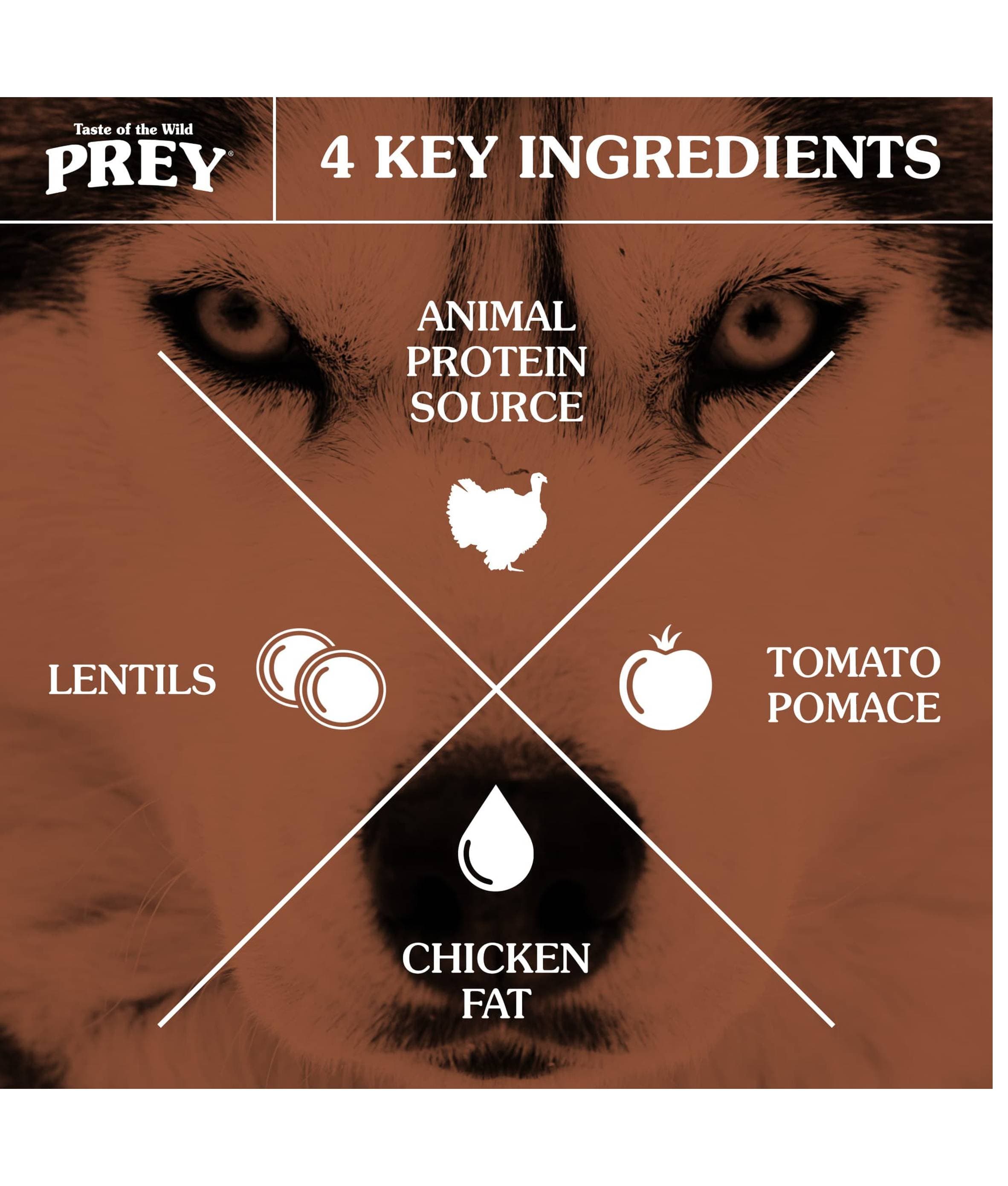 Taste of the Wild Cat 6.8kg/15lbs Prey Turkey Grain Free Dry Cat Food image 4