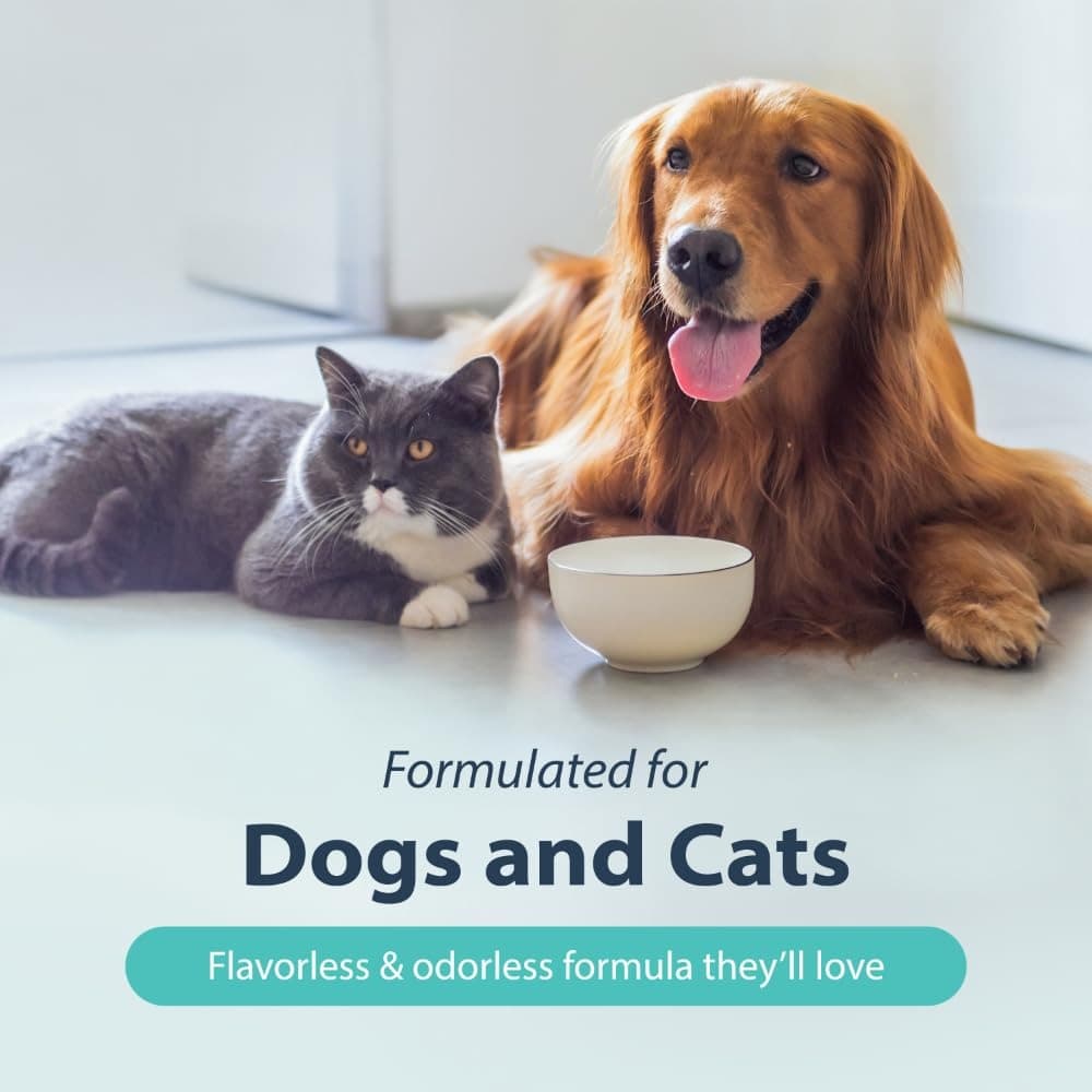 Dental Fresh Water Additive Original Formula For Dogs 502ml image 5