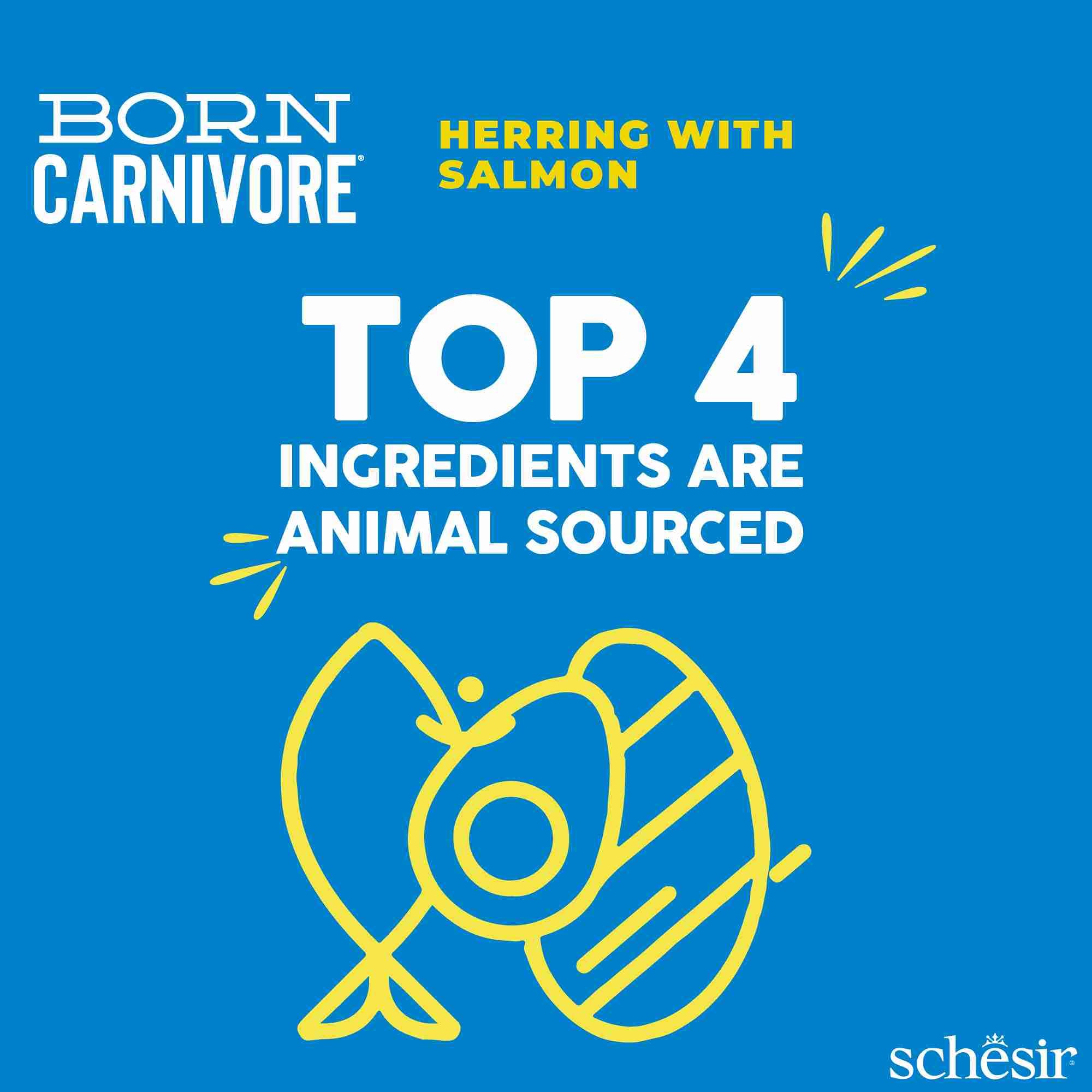 Schesir Cat 255g Born Carnivore Herring with Salmon Baked Dry Recipe Dry Cat Food image 6