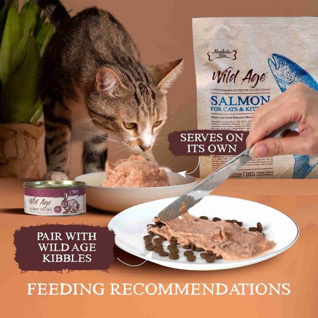 Absolute Bites Wild Age Cat 80g Complete & Balanced Diet Duck Canned Wet Cat Food image 3