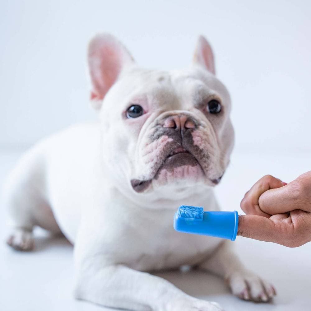 Oxyfresh Finger Brush for Pets image 1