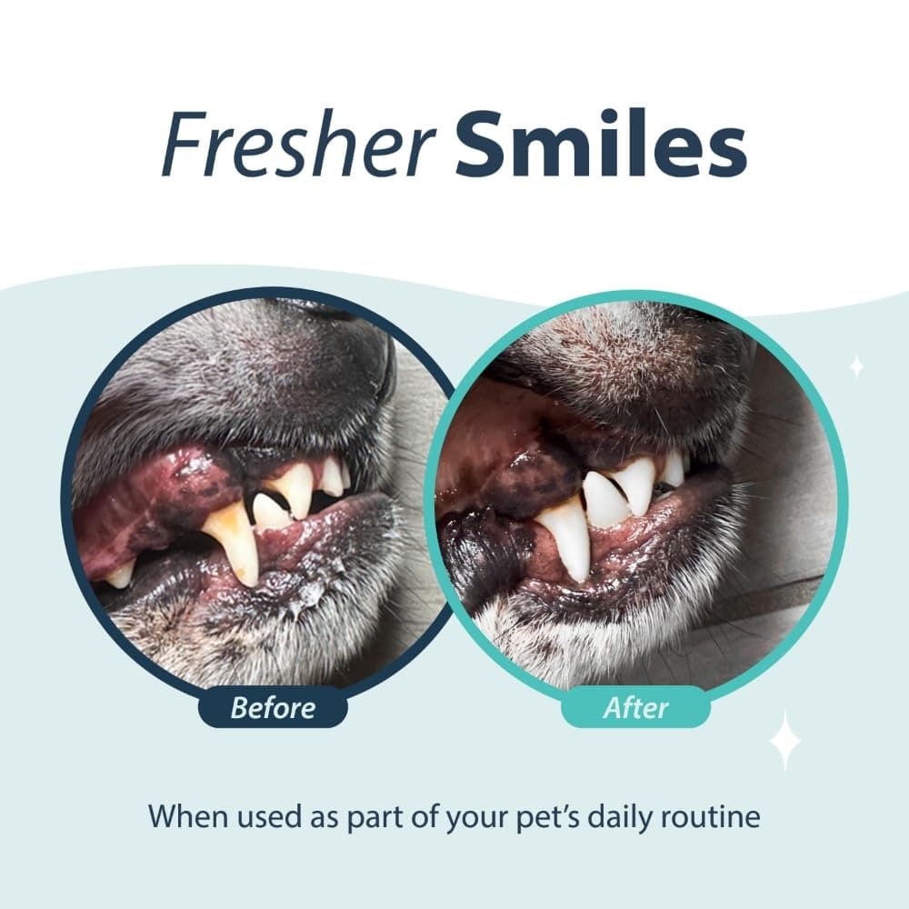 Dental Fresh Water Additive Original Formula For Dogs 502ml image 3