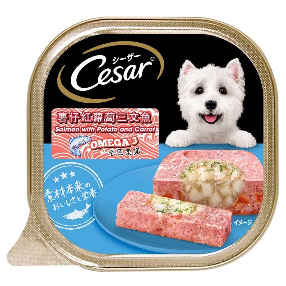 Cesar Dog 100g Salmon with Potato & Carrot Wet Dog Food image 1