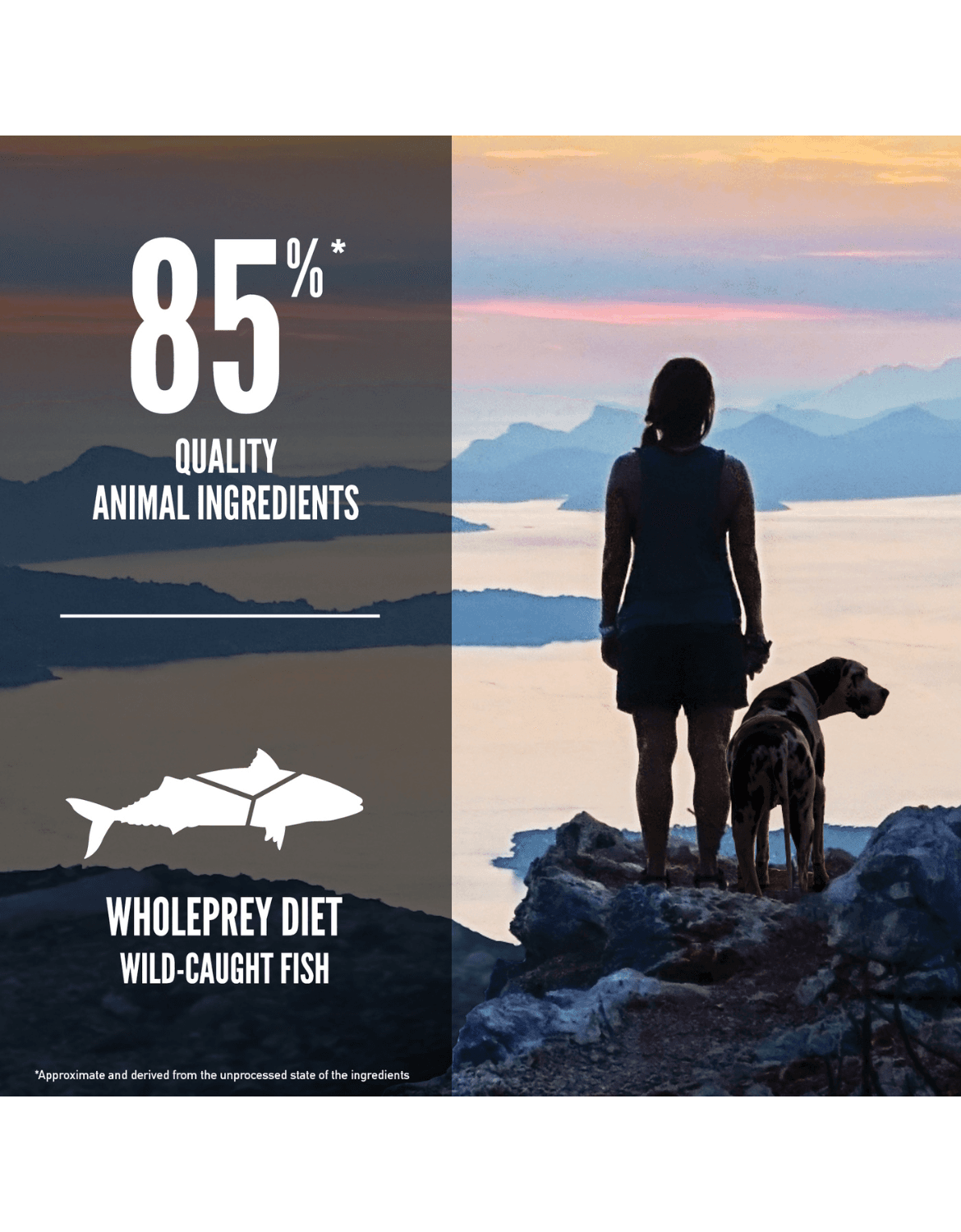 Orijen Dog 6kg Six Fish Dry Dog Food image 3